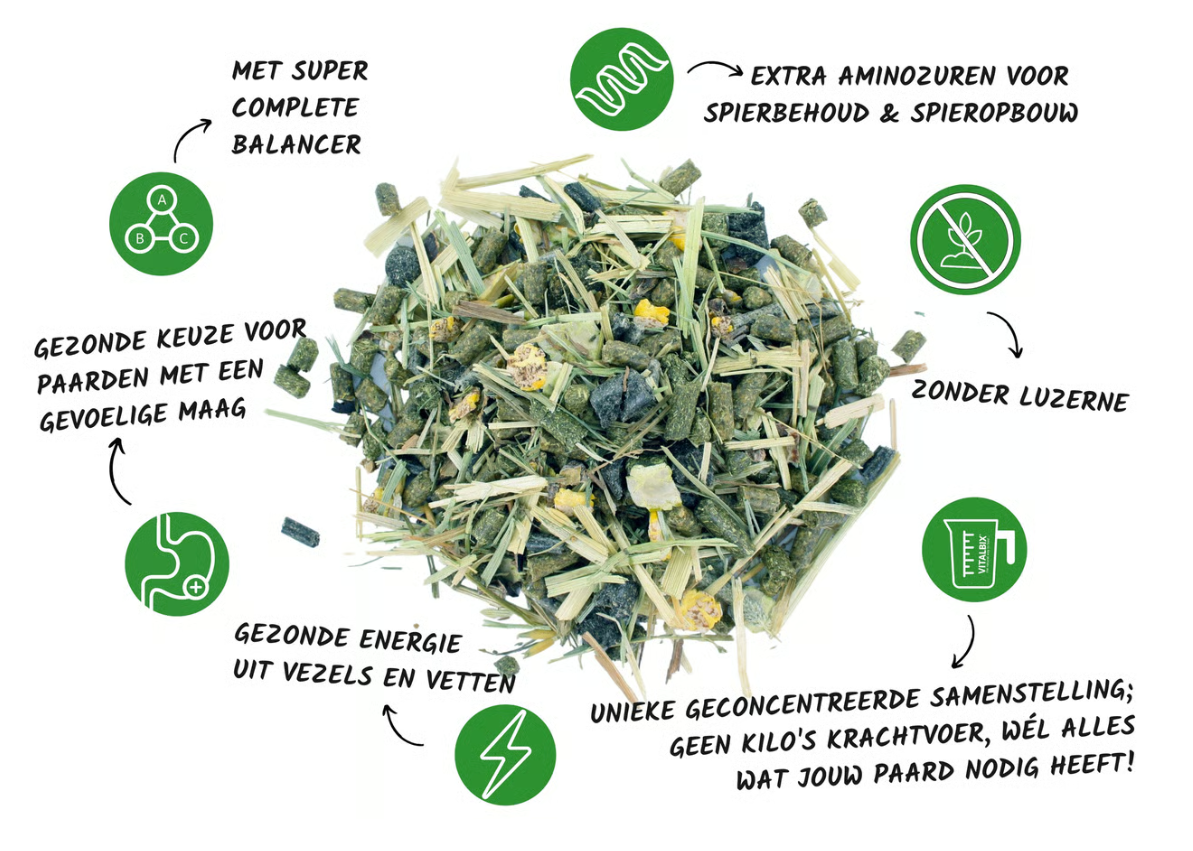 Balance+ Muesli natuurlijke, geconcentreerde muesli