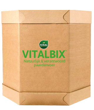 Balance + Müsli Balance + Müsli natürliches, konzentriertes Müsli  XL Box