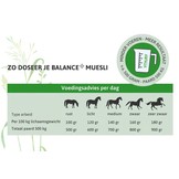 Balance + Muesli natuurlijke, geconcentreerde muesli  XL Box