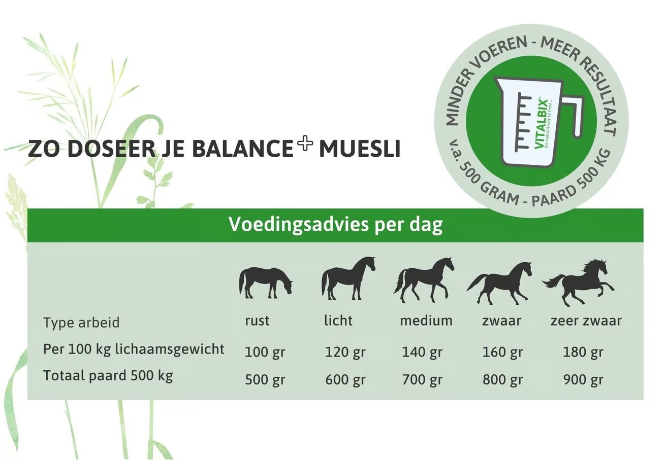 Balance + Muesli natuurlijke, geconcentreerde muesli  XL Box