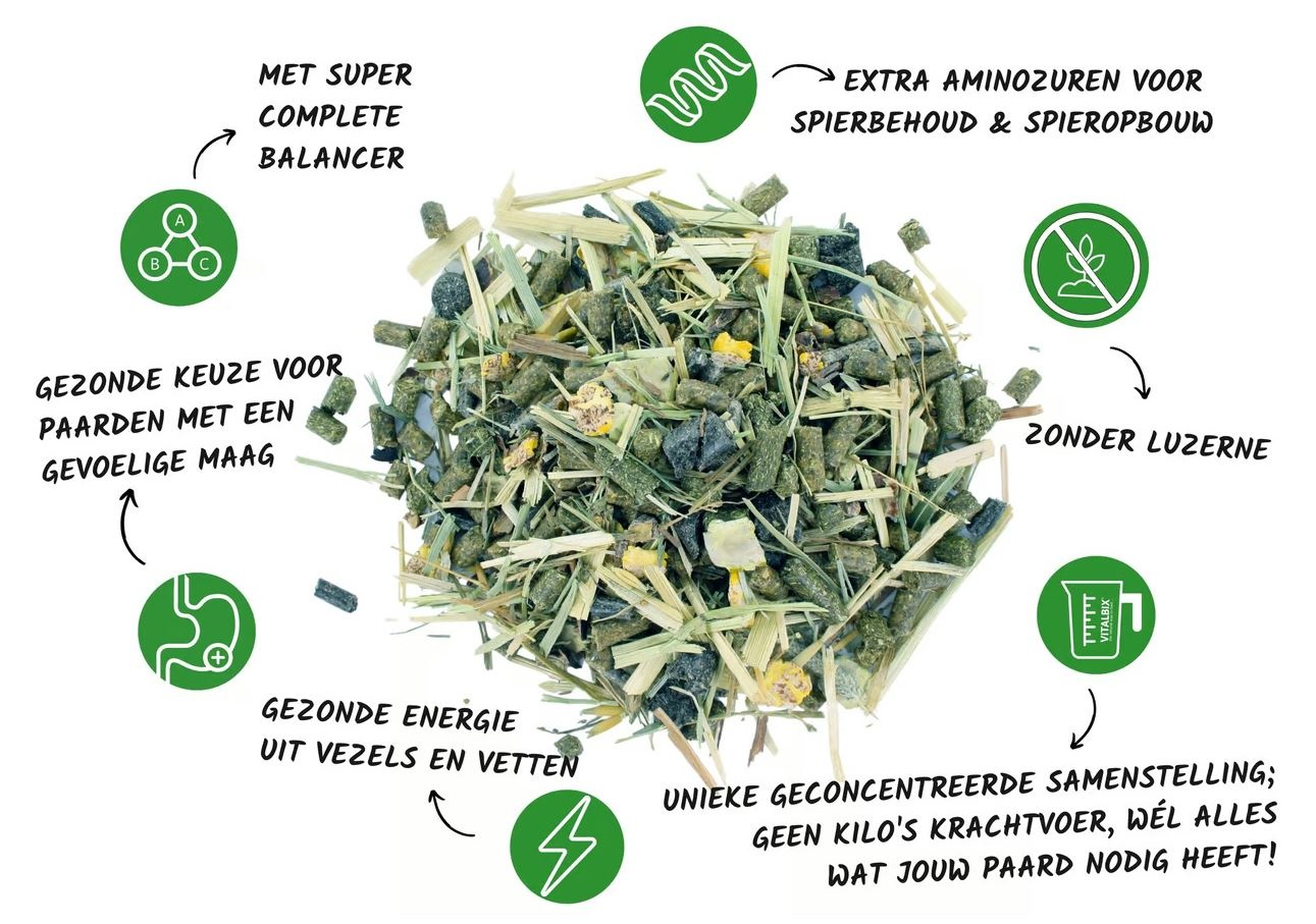 Balance + Muesli natuurlijke, geconcentreerde muesli  XL Box