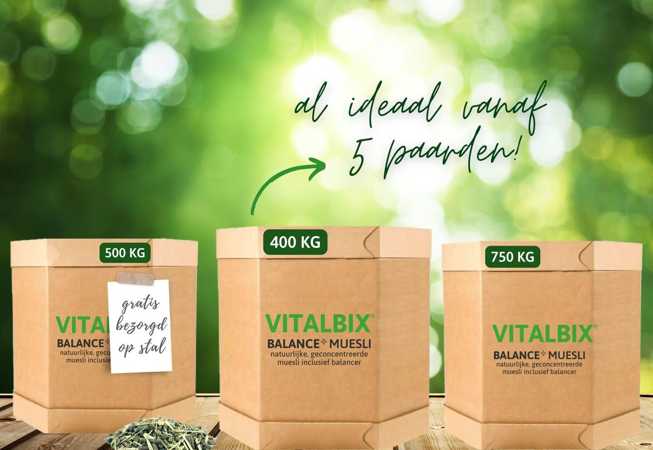 Balance + Muesli natuurlijke, geconcentreerde muesli  XL Box
