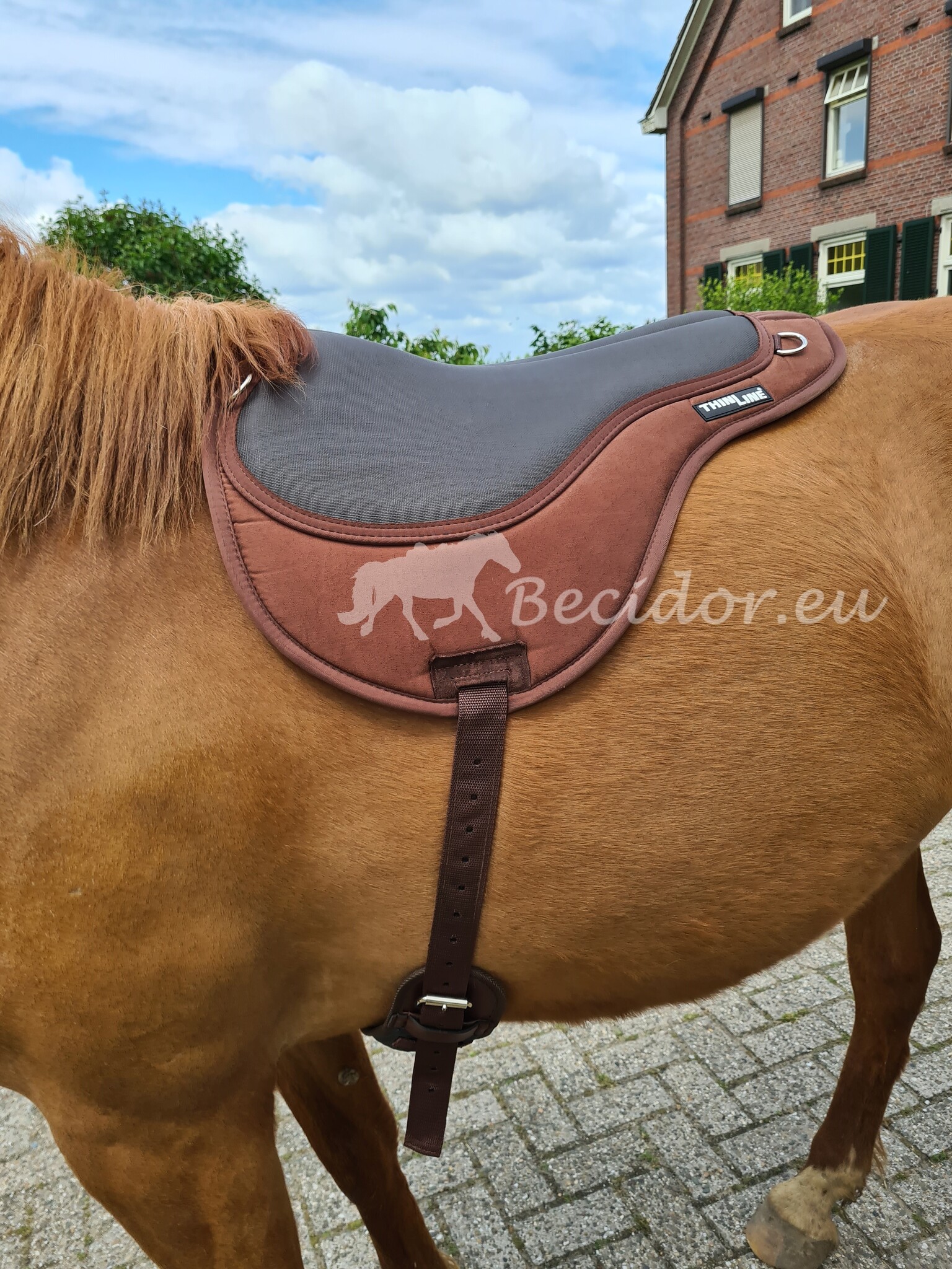 Stoßdämpfend Test Reitpad