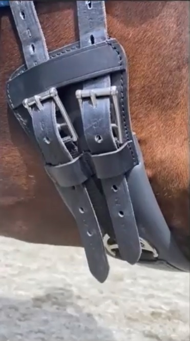Pressure distributing V dressage girth