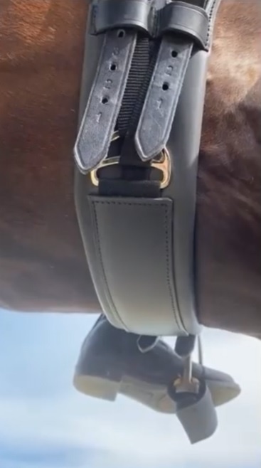 Pressure distributing V dressage girth