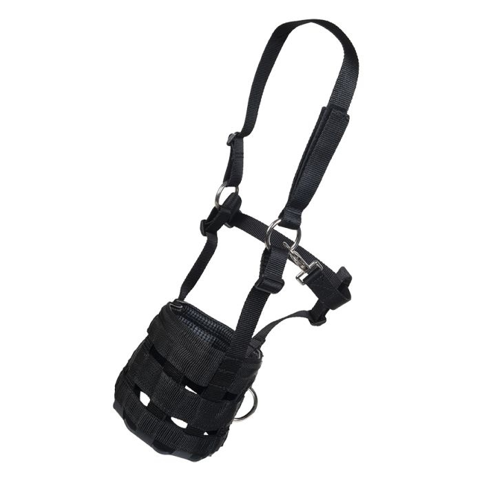 Graasmasker met halster