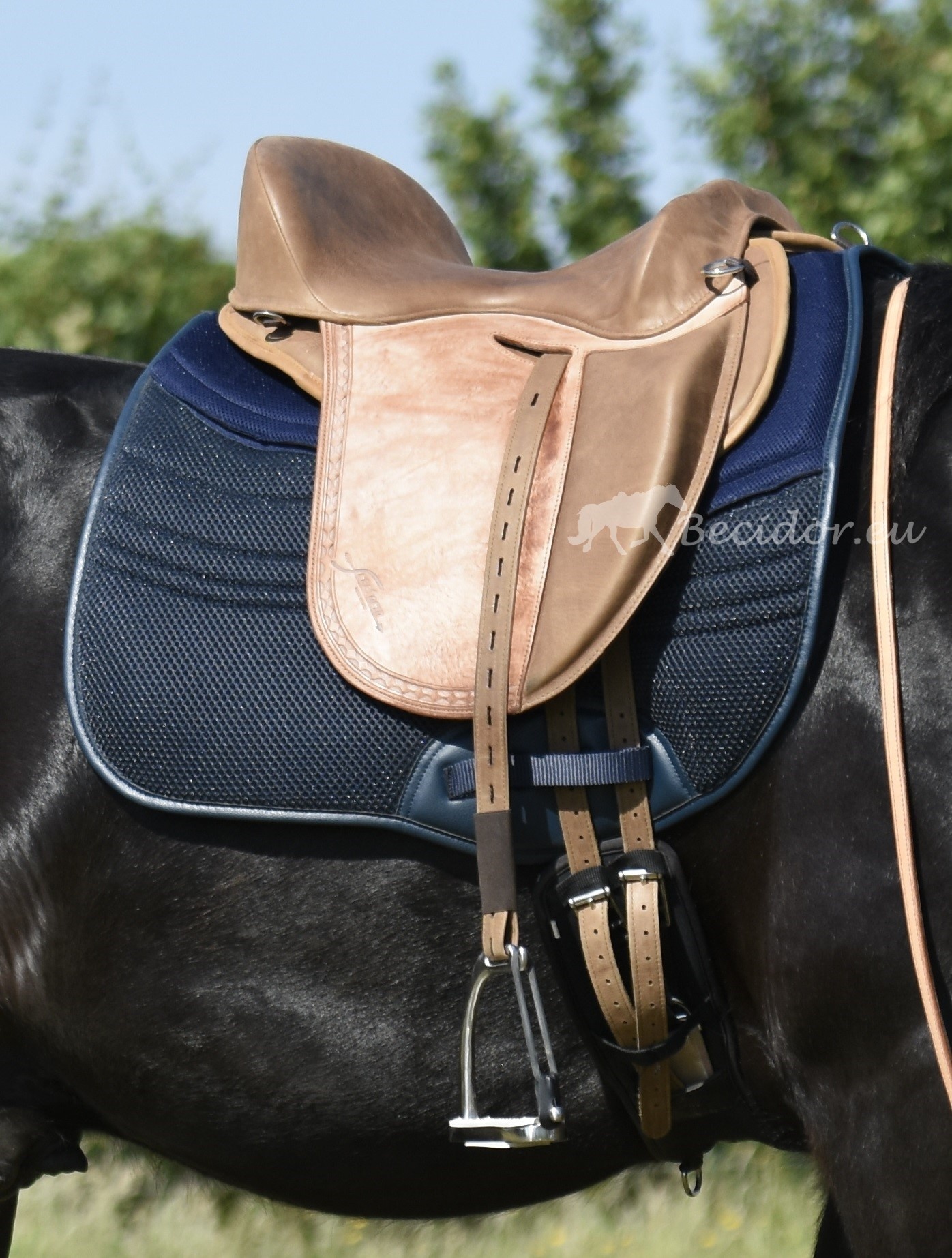 Test saddle Evolution SB