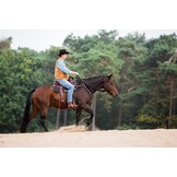 Allround Westernsattel mit Sitz