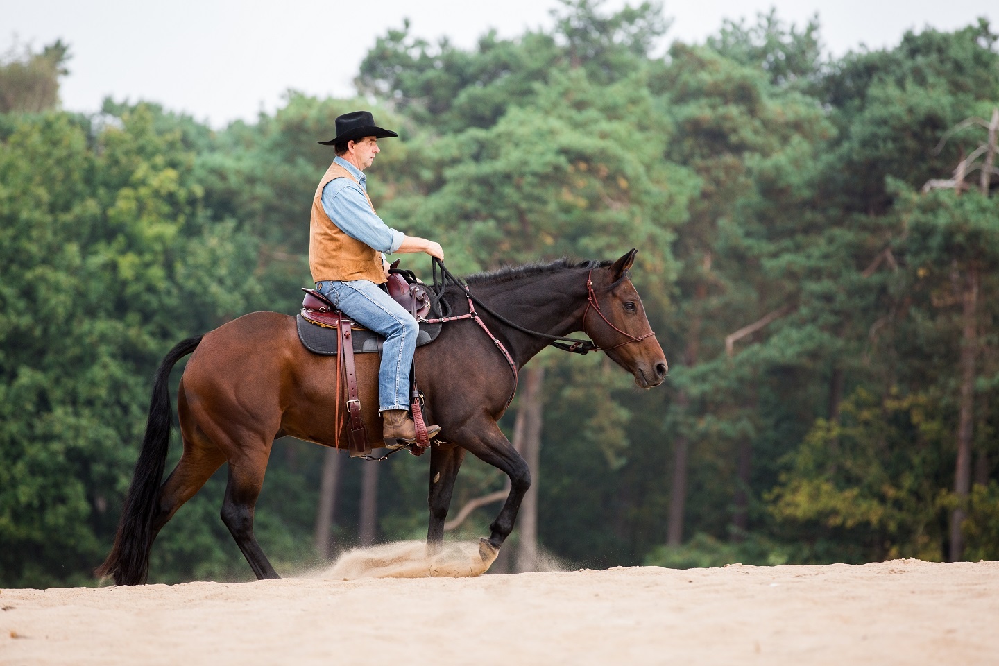 Allround westernzadel met zitting