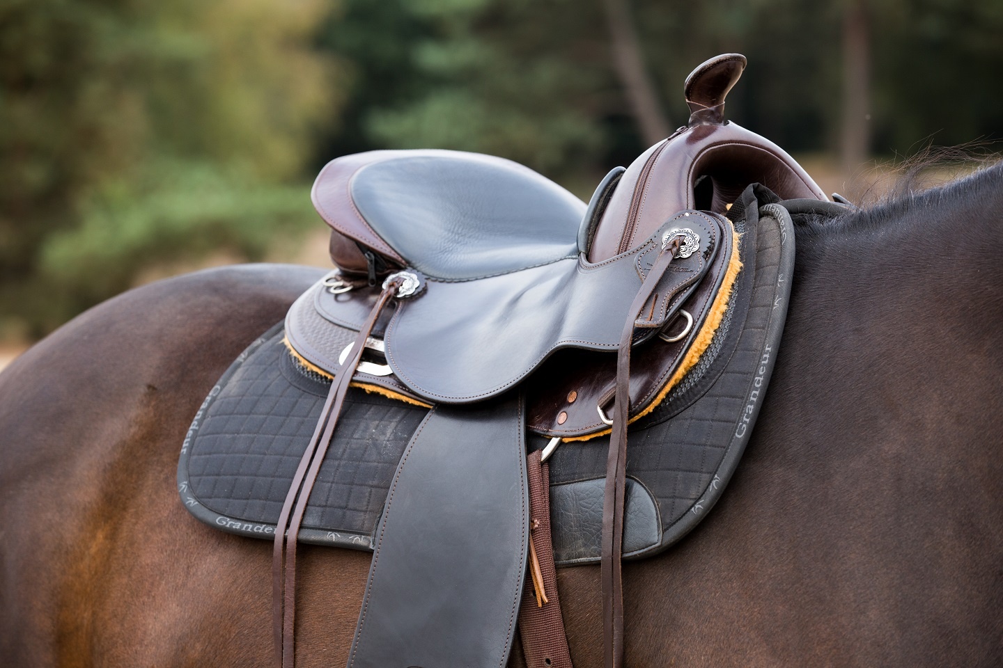 Allround western saddle with seat