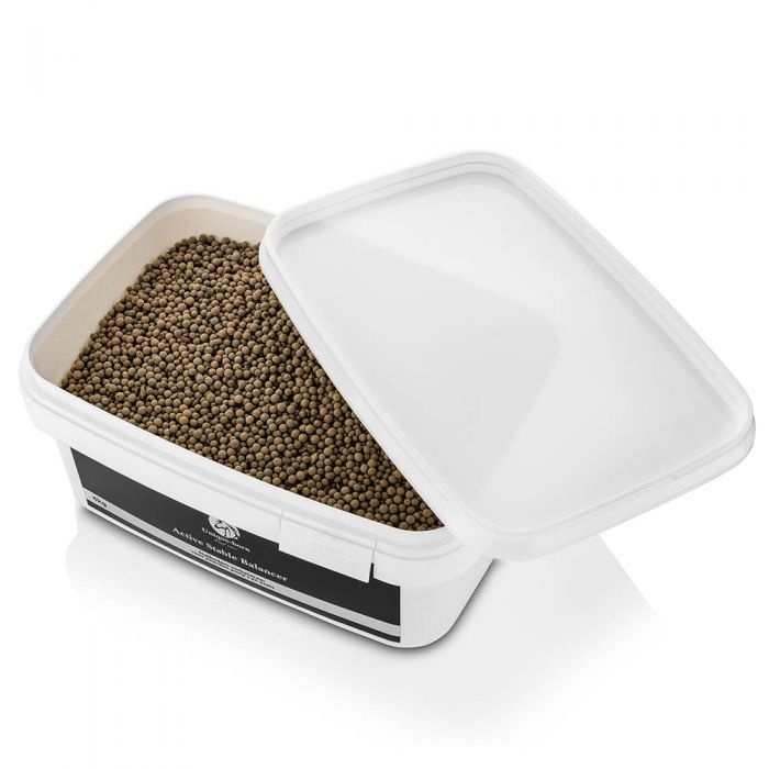 Active Stable Balancer 4kg