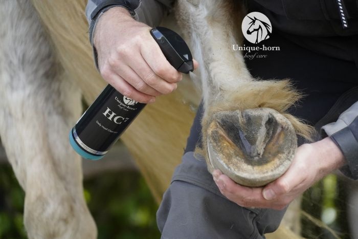 HC7 Daily Hoof Cleanser