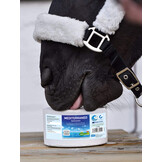 Liksteen zout Mediterraneo paard 3kg