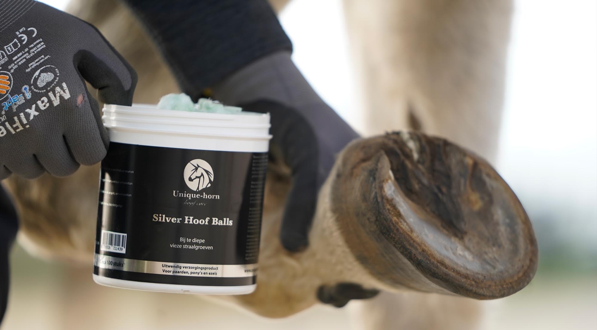 Silver hoof sticks ca 100 pc