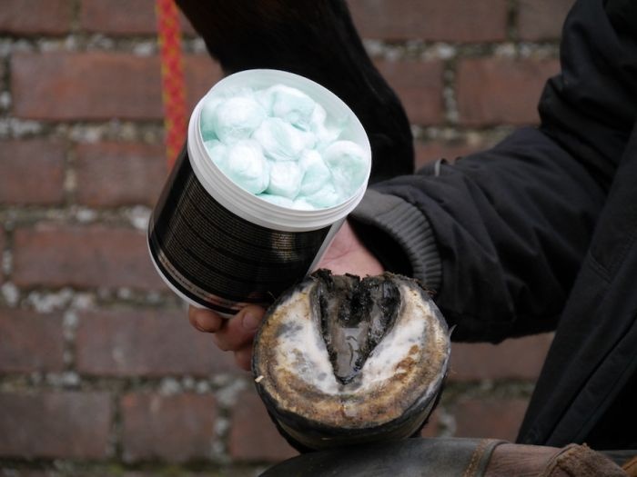 Silver hoof sticks ca 100 pc