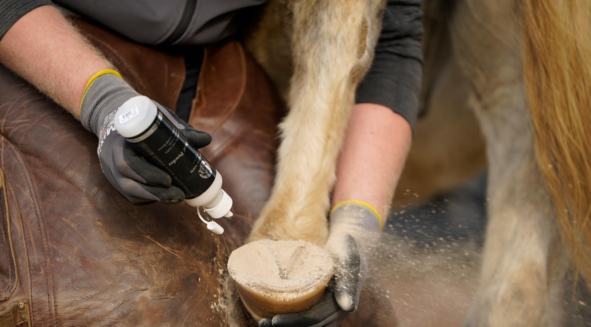 Magic Hoof Powder (before NT-Dry) 120 gr