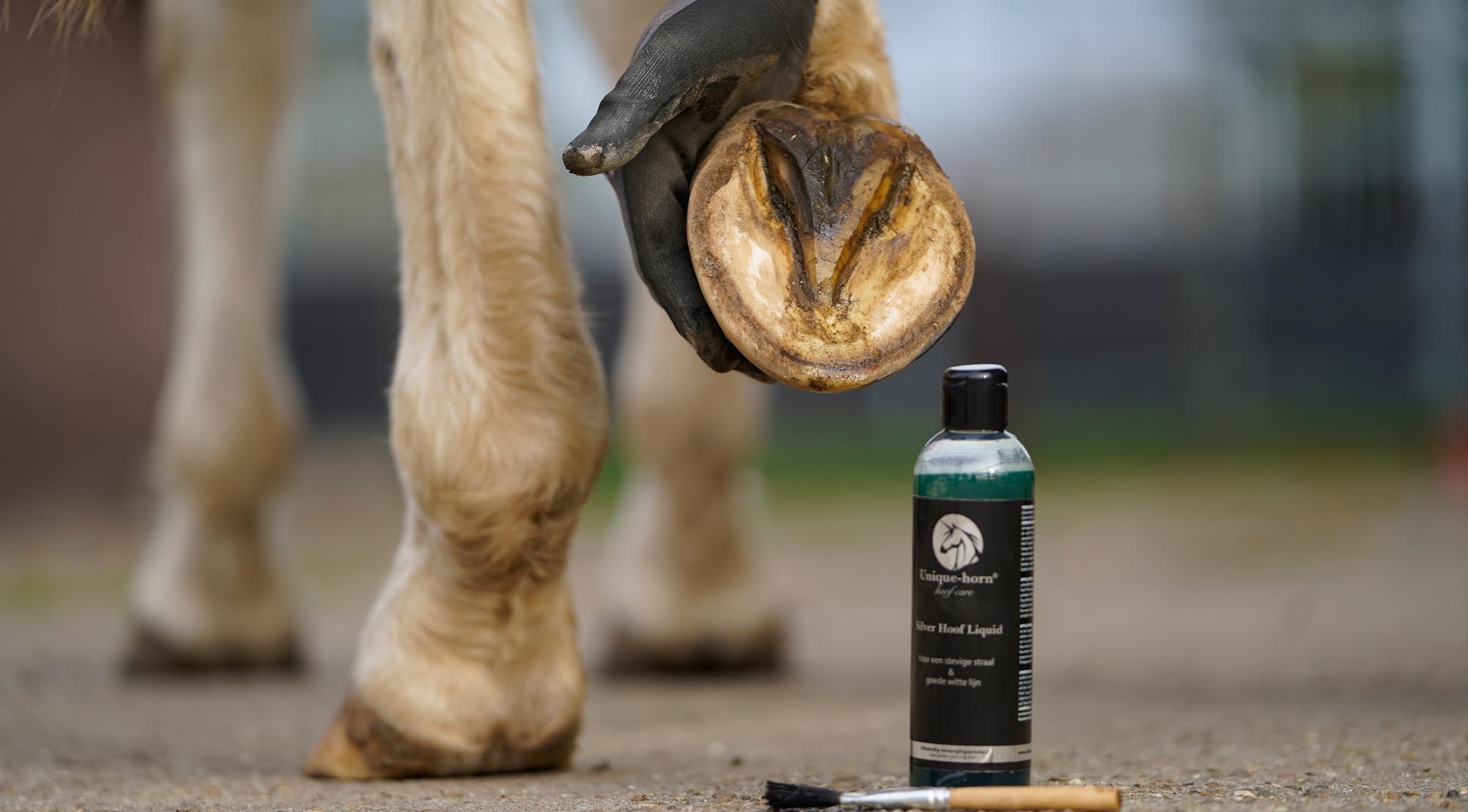 Silver Hoof Liquid 250 ml