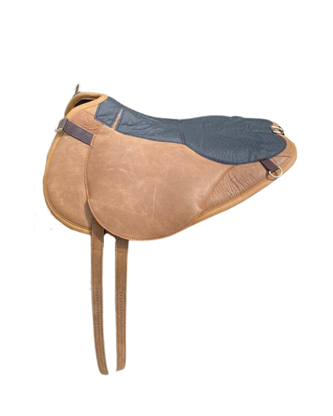 Evolution basis zonder zitting