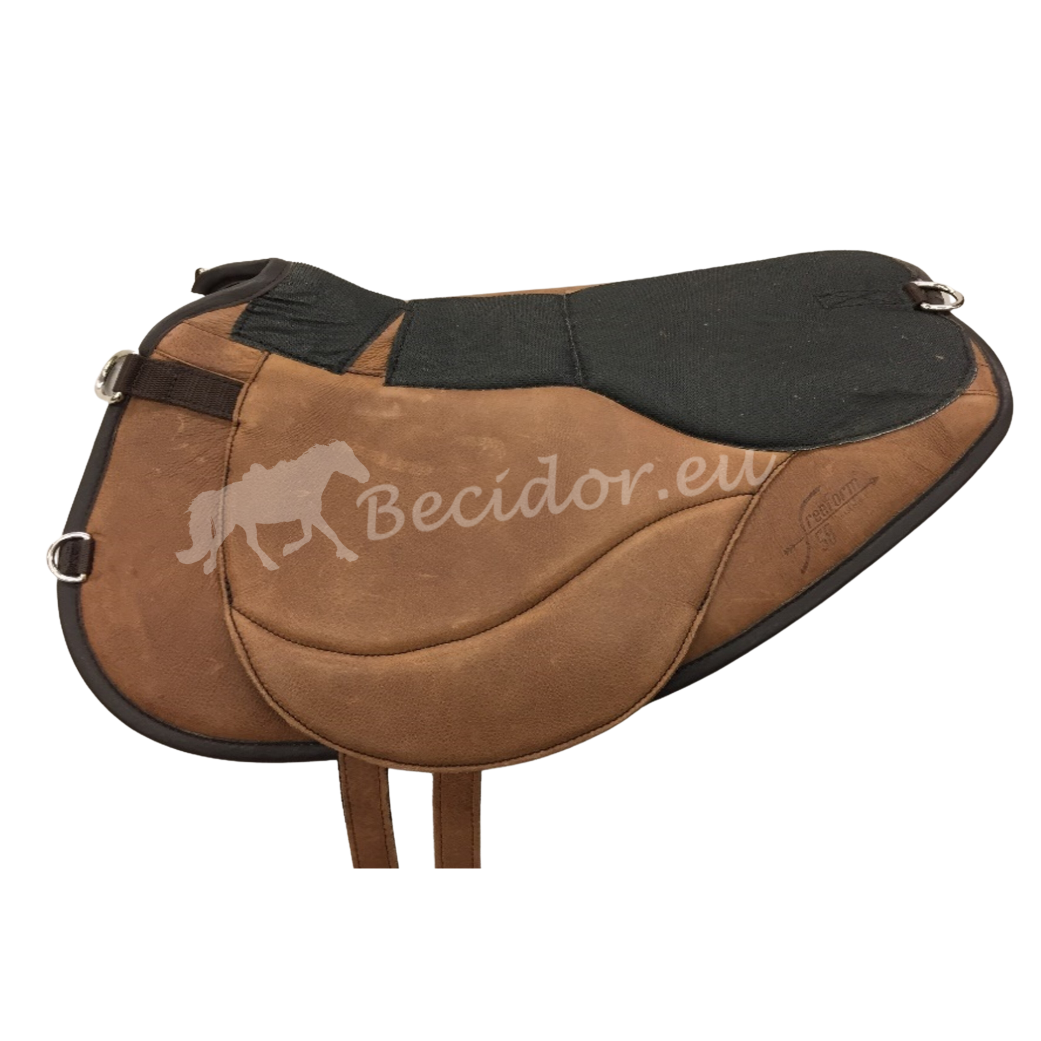 Evolution basis zonder zitting