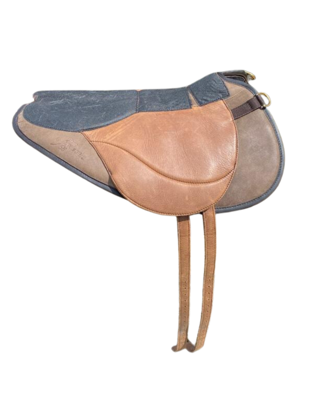 Evolution basis zonder zitting