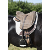 Evolution basis zonder zitting