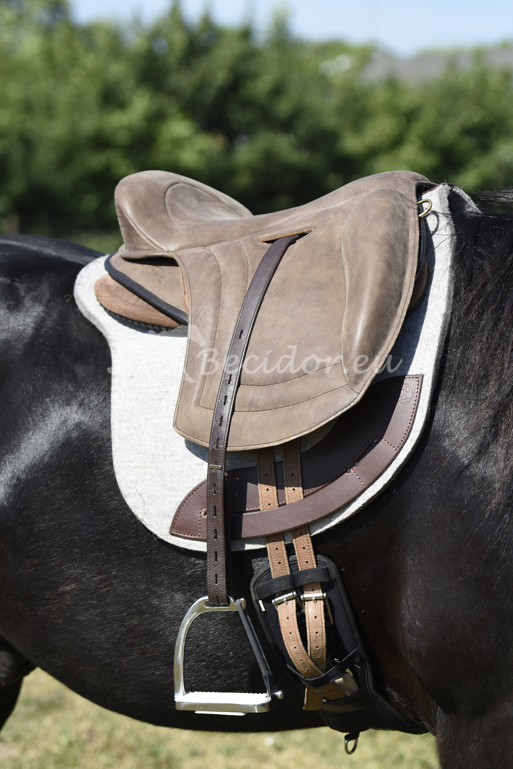 Evolution base without seat