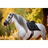 Madrid - spaans/portugees zadel leer