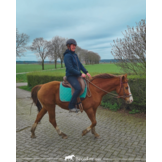 Maremma zitting zonder basis