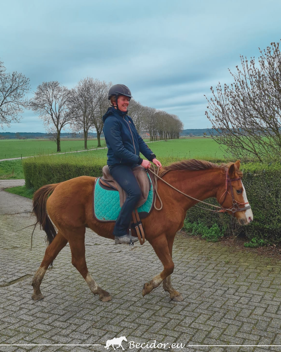 Maremma zitting zonder basis
