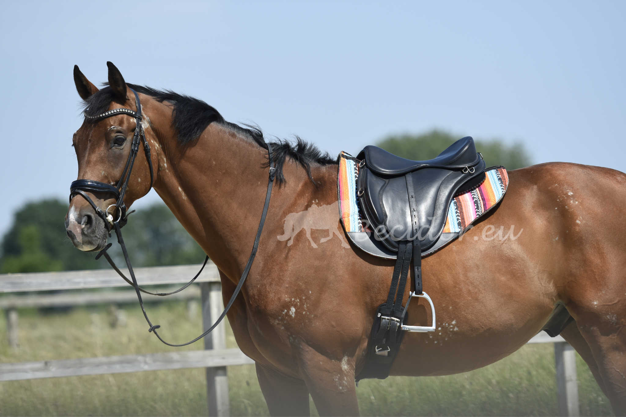 Roundskirtpad wolvilt correctie