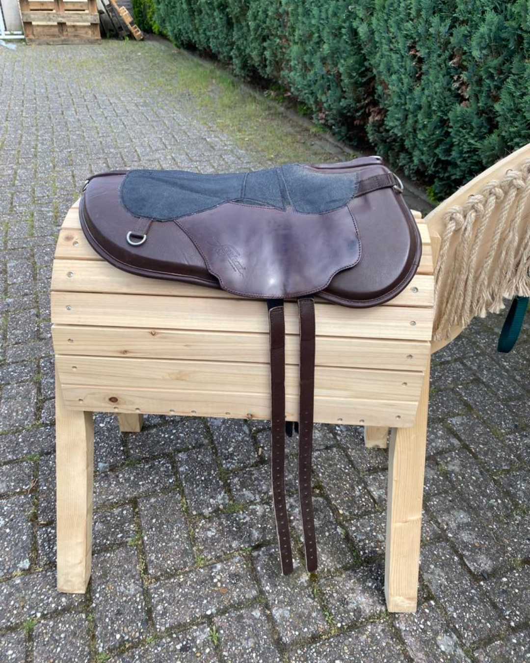 Dressage basis zonder zitting