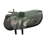 Dressage Basis ohne Sitz