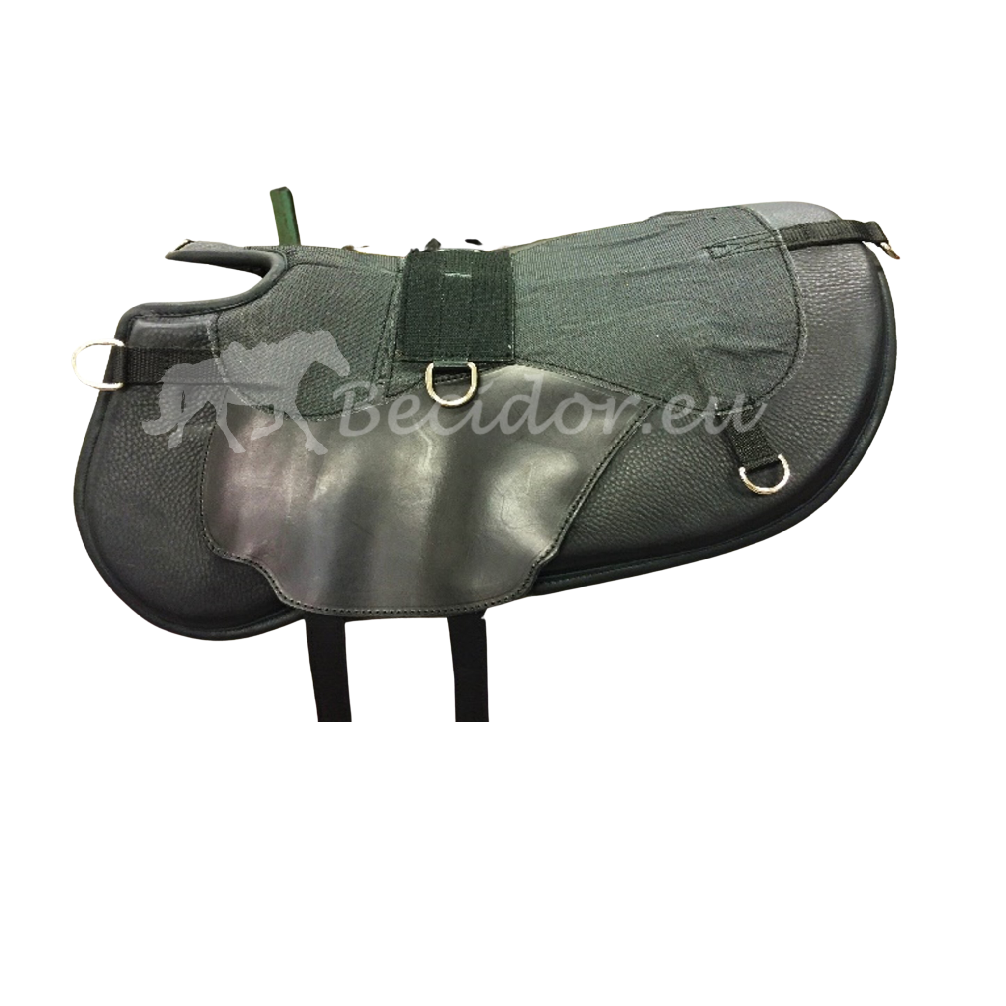 Dressage Basis ohne Sitz