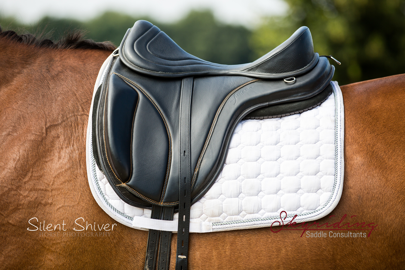 Liberty basis zonder zitting