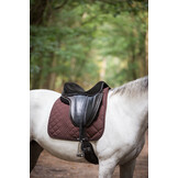 Elite basis zonder zitting