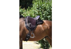 Testsattel Dressage SB