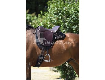 Testsattel Dressage SB