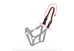 Halter BreakAway Piece