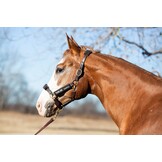 Backenstuck schoner Anti-Scheuern 2Stuck