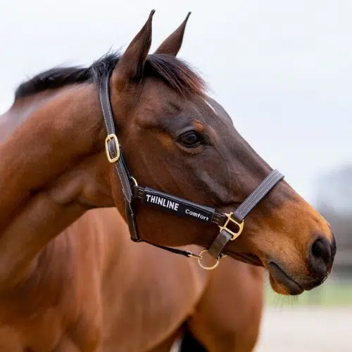 Backenstuck schoner Anti-Scheuern 2Stuck