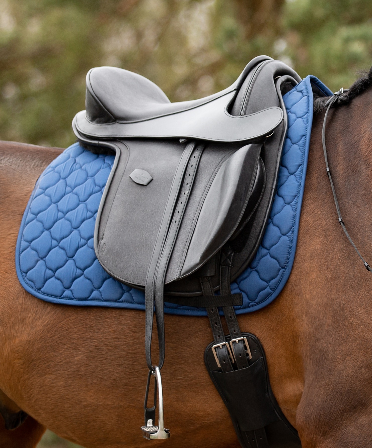 Testzadel Lexington Pro maat 2