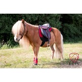 Amigo Pad Vielseitigkeit