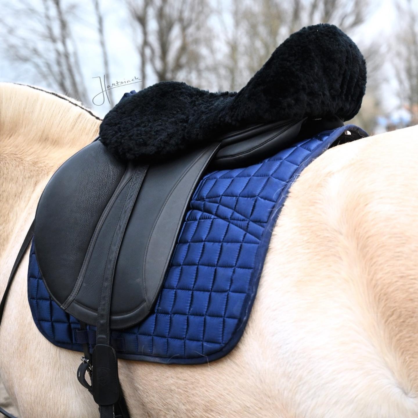 English saddle fur
