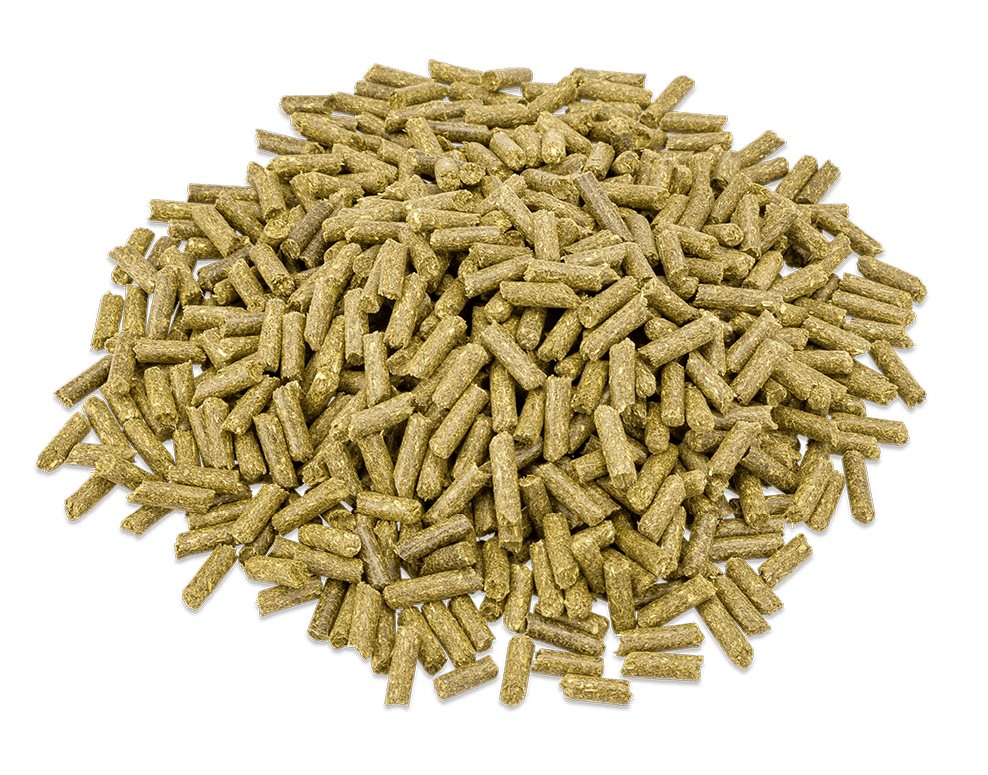 BalanceFit Esparcette pellets