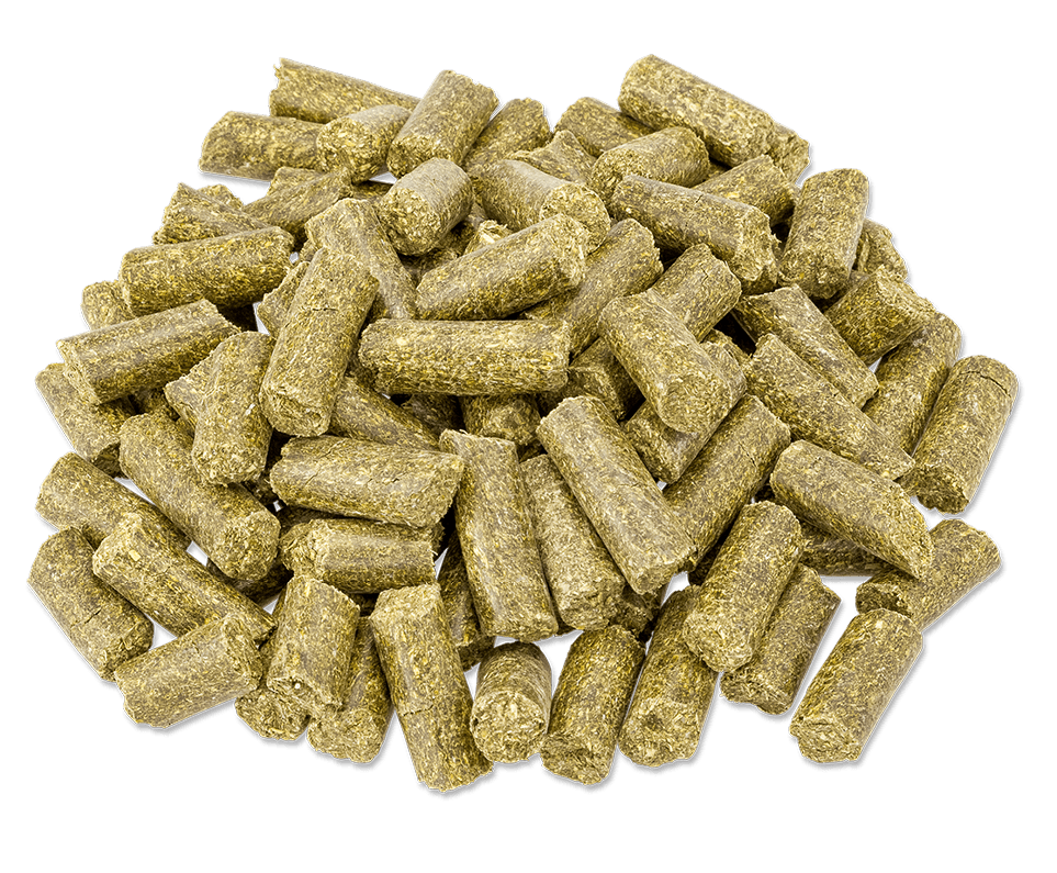 Fittreats alfalfa