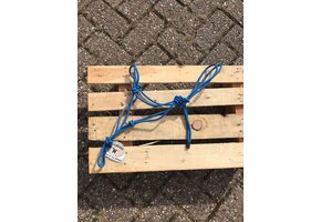 Photo shoot rope halter smooth pony