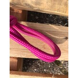 Fotoshoot touwhalster lazy pony roze