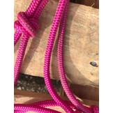 Photo shoot rope halter lazy pony pink