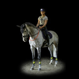 LED lighting set horse riding 3 pieces