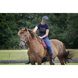 Dardo basic barebackpad